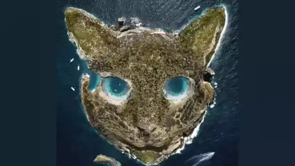 Optical Illusion What You See First Will Reveal How You Handle Pressure