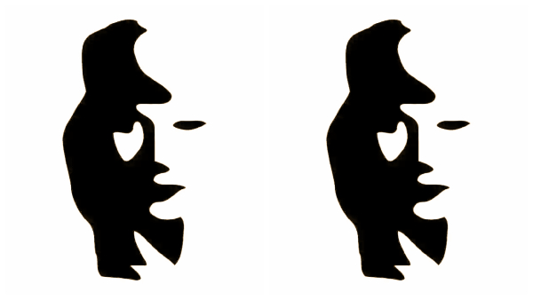 Optical Illusion What You See First Will Tell If You Are Creative or Analytical