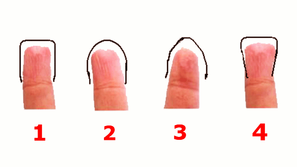 Palmistry Shape of Fingers And Personality