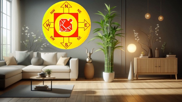 Bamboo Plant Vastu Tips Where To Keep Bamboo Plant At Home As Per Vastu Shastra