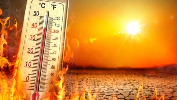 IMD Issues New Heatwave Alert for Next 5 Days Know The Key Precautions For Heatwaves