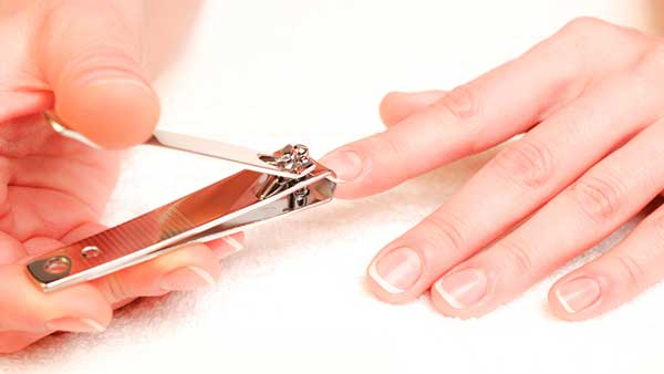 What Is the Purpose of a Hole in a Nail Cutter