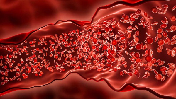 World Hemophilia Day Doctor Explains About The Rare Bleeding Disorder Hemophilia