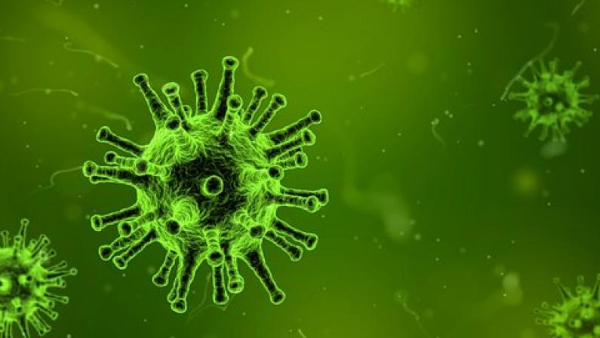 Covid-19 Cases Rise Doctor Explains Whether Covid-19 Will Come Back