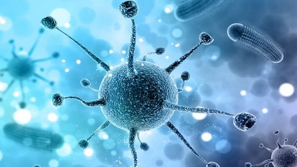 Covid-19 Cases Rise Doctor Explains Whether Covid-19 Will Come Back