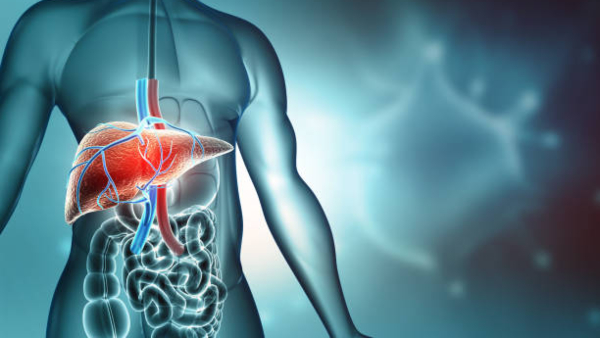 Top 5 Vegetables That Cleanse Liver Naturally