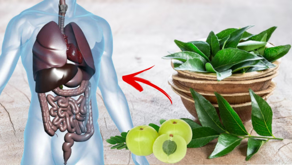 Nutritionist Shares Top 3 Benefits Of Eating Amla And Curry Leaves Together