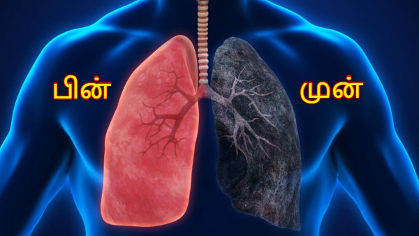 Pulmonologist Lists Top 5 Best Foods To Repair Lungs Damaged By Smoking