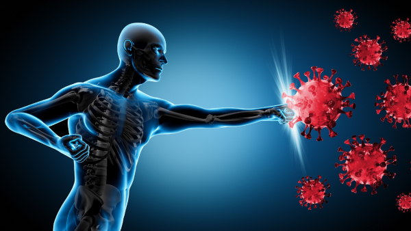 H3N2 Influenza Doctor Reveals Top 10 Best Foods To Increase Immunity Naturally