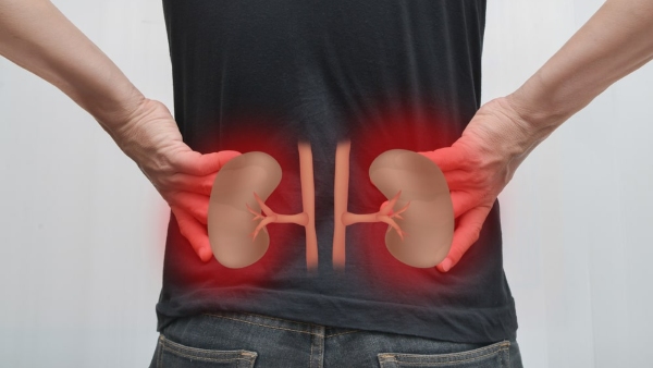 Kidney Damage Symptoms Top 5 Early Signs Of Kidney Damage That Most People Miss Kidney Damage Symptoms Top 5 Early Signs Of Kidney Damage That Most People Miss