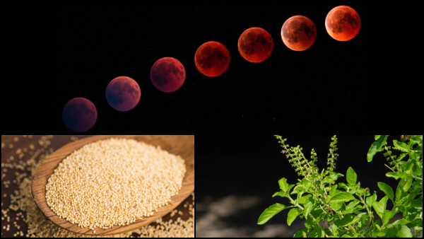 Lunar Eclipse 2025 Why Tulsi And Kushkush Is Added To The Foods During The Eclipse