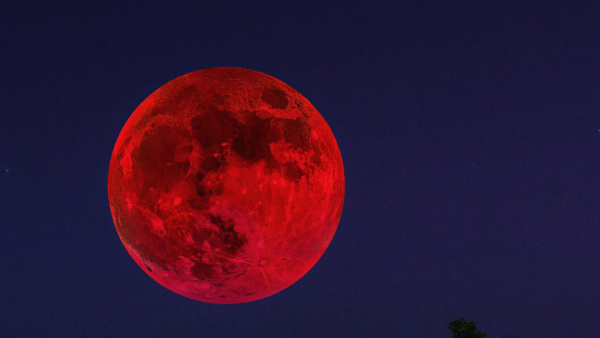 Chandra Grahan 2025 Live Streaming Date time and where to watch lunar eclipse in India Chandra Grahan 2025 Live Streaming Date time and where to watch lunar eclipse in India