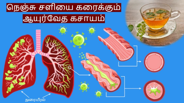 Ayurveda Day 2025 Ayurveda Doctor Recommends Kashayam For Cough amp amp Cold During Rainy Days Ayurveda Day 2025 Ayurveda Doctor Recommends Kashayam For Cough amp amp Cold During Rainy Days