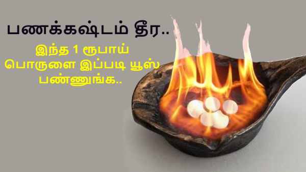 Vastu Tips Camphor Remedies To Remove Negativity And Bring Wealth
