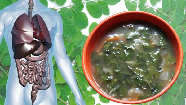 Drumstick Leaves Soup for Health 6 Incredible Benefits You Must Know