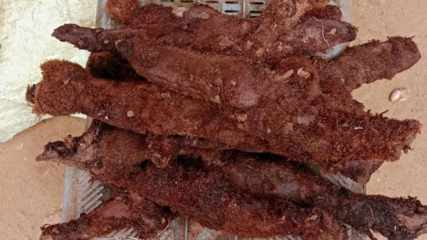 Doctor Shares The Benefits of Mudavattukal Kilangu Soup