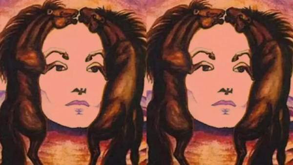 Optical Illusion Personality Test What You See First Reveals Truth About Your Life