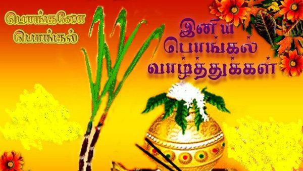 Pongal Festival 2026 Date Significance and History