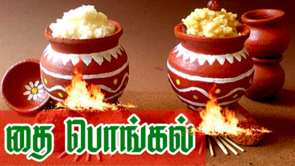 Pongal Festival 2026 Date Significance and History