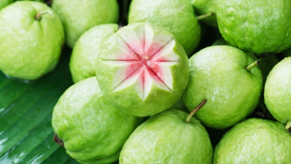 Ayurvedic Doctor Lists Foods To Boost Kids Brain Health And Memory Power During Exam Time