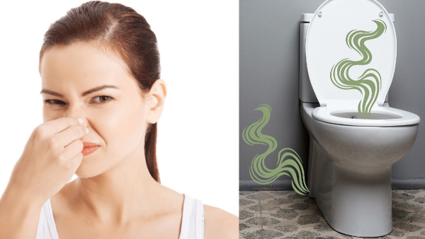 Vastu Tips for Home These 5 Odours Attract Negative Energy in Home Vastu Tips for Home These 5 Odours Attract Negative Energy in Home