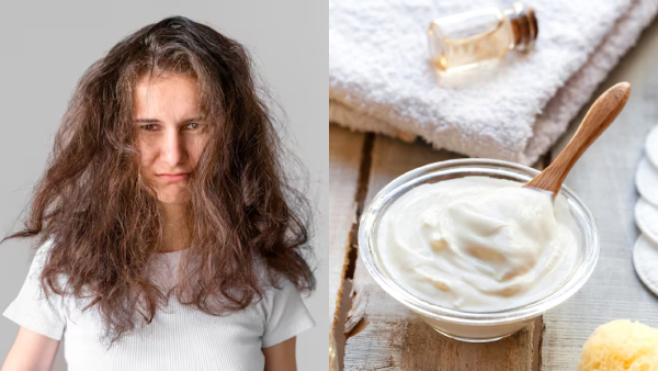 Top 5 DIY Winter Hair Packs To Control The Frizz