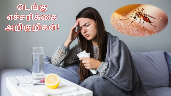 Kerala Student Dies Of Dengue In Chennai Warning Symptoms of Dengue Virus Infection