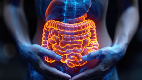 Warning Signs Of Inflammatory Bowel Disease You Should Not Ignore Warning Signs Of Inflammatory Bowel Disease You Should Not Ignore