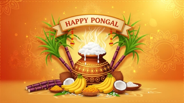 Pongal 2026 Never Donate These 4 Things On Pongal Day