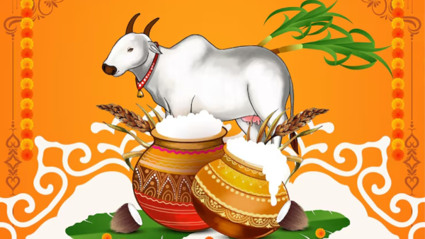Pongal 2026 How Pongal Is Celebrated in Different States of India Pongal 2026 How Pongal Is Celebrated in Different States of India