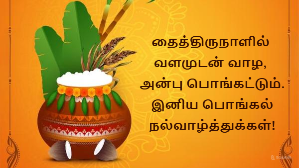 Happy Pongal Wishes Quotes Messages Images Facebook Whatsapp Status In Tamil
