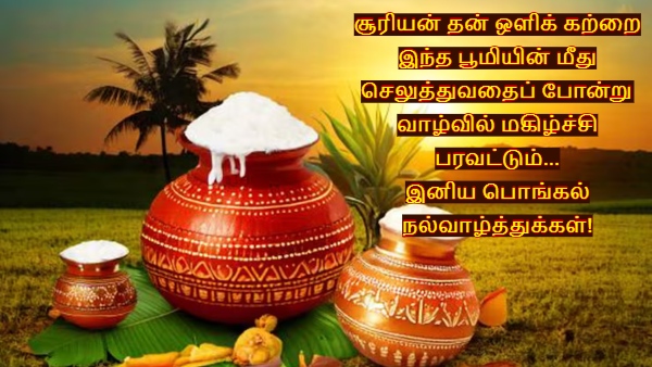 Happy Pongal Wishes Quotes Messages Images Facebook Whatsapp Status In Tamil
