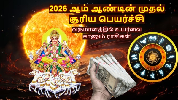 Sun Transit In Capricorn 2026 These Zodiac Signs Income Will Increase