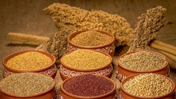 Does Ragi Koozh Reduce Blood Sugar The Doctor Explains Does Ragi Koozh Reduce Blood Sugar The Doctor Explains