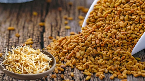 Doctor Prakash Murthy Shares How To Eat Sprouted Fenugreek Seeds To Control Diabetes