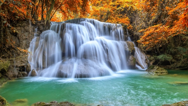 Vastu Tips Paintings To Keep At Home To Bring Luck And Prosperity