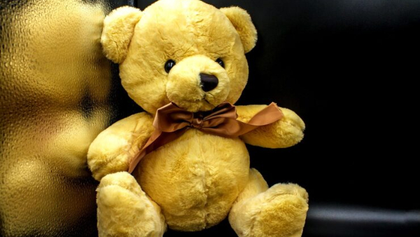 Teddy Day 2026 Different Colours Of Teddy Bears And Their Meanings