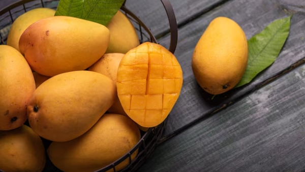 Why Salem Is Called the Mango City of Tamil Nadu
