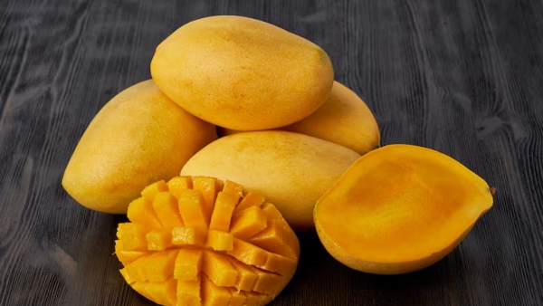 Why Salem Is Called the Mango City of Tamil Nadu