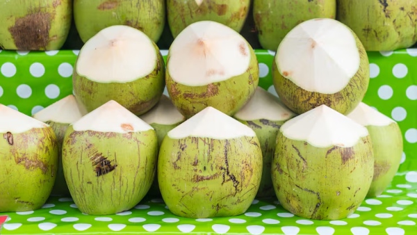 Tamil Nadu Election 2026 Why Tender Coconut Is Favourite Campaign Drink of South Indian Politicians Tamil Nadu Election 2026 Why Tender Coconut Is Favourite Campaign Drink of South Indian Politicians