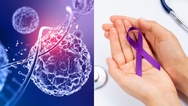 Cancer Diet Best Foods That Can Help Lower Your Cancer Risk