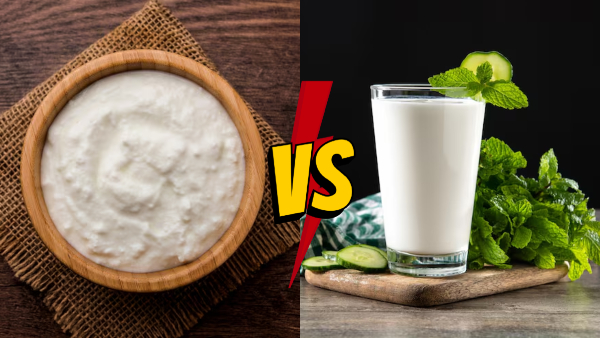 Curd Vs Buttermilk Which Is Better For Weight Loss