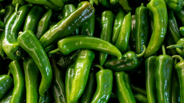 Healthy Food Items That You Should Eat Daily In Tamil