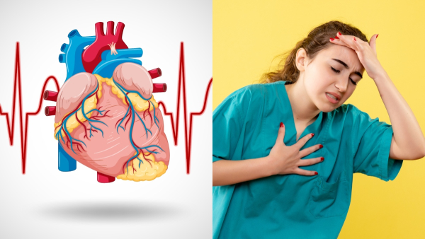 Heart Health Common Myths and Facts About Heart Disease