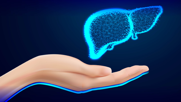 Liver Health Top 10 Foods That Detox Liver Naturally