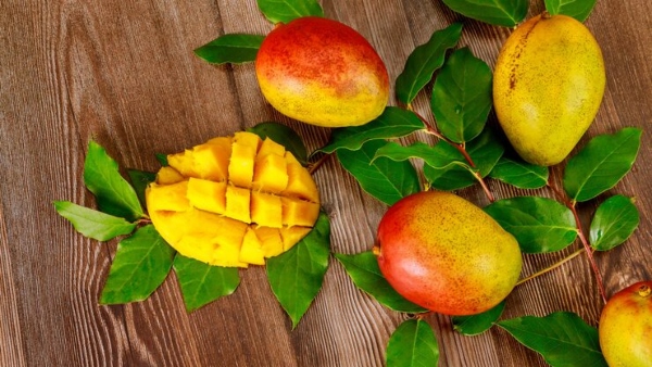 Top 5 Homemade Mango Face Packs For Glowing Skin During Summer