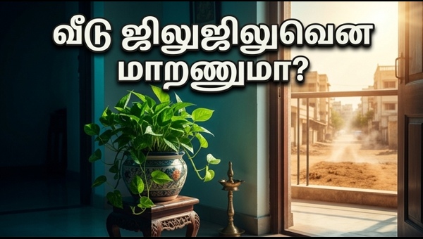 Money Plant Vastu Tips: How to Keep Your Home Cool and Attract Wealth This Summer