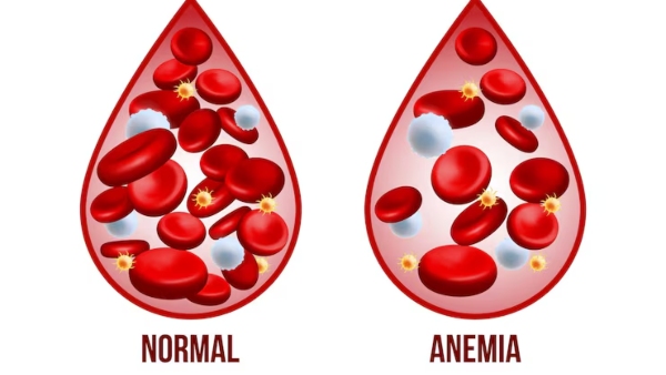 Aatu Nurai Eeral Benefits Doctor Lists The Health Benefits Of Eating Mutton Lungs
