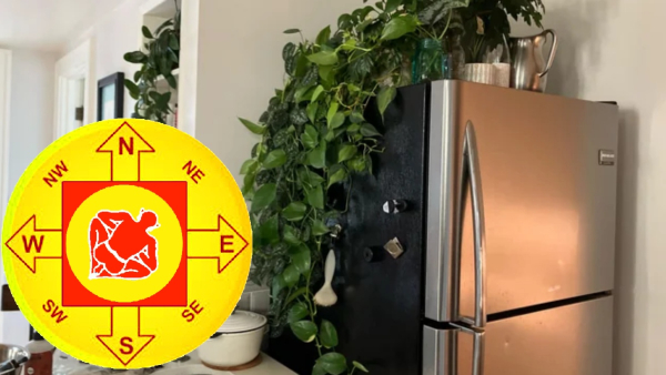 Vastu Tips Never Keep These Things On Top Of The Fridge