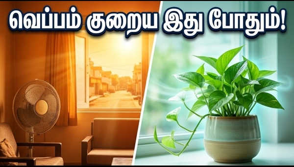 Vastu Tips to Keep Home Cool: Simple Remedies to Beat the Summer Heatwave and Attract Prosperity